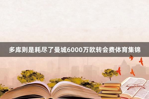 多库则是耗尽了曼城6000万欧转会费体育集锦