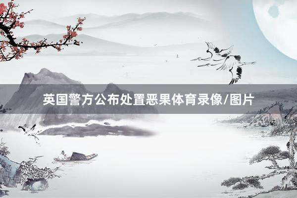 英国警方公布处置恶果体育录像/图片