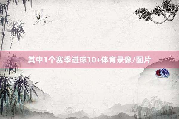 其中1个赛季进球10+体育录像/图片