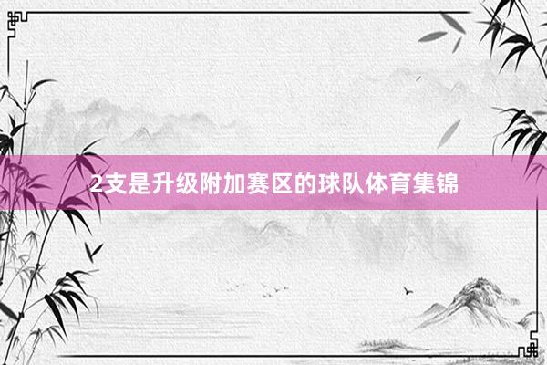 2支是升级附加赛区的球队体育集锦