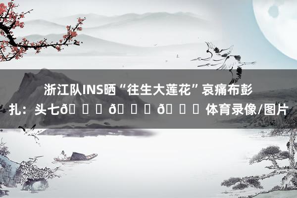 浙江队INS晒“往生大莲花”哀痛布彭扎：头七🙏🙏🙏体育录像/图片