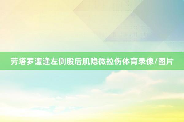 劳塔罗遭逢左侧股后肌隐微拉伤体育录像/图片