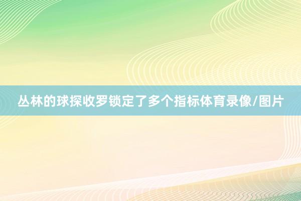 丛林的球探收罗锁定了多个指标体育录像/图片