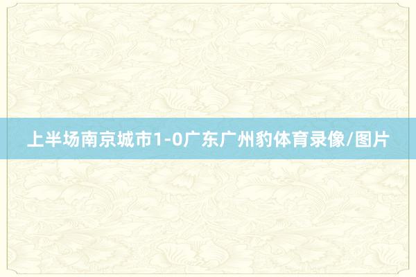 上半场南京城市1-0广东广州豹体育录像/图片