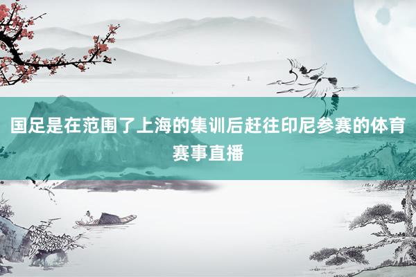 国足是在范围了上海的集训后赶往印尼参赛的体育赛事直播