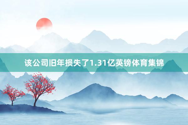 该公司旧年损失了1.31亿英镑体育集锦