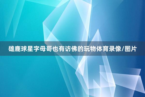 雄鹿球星字母哥也有访佛的玩物体育录像/图片