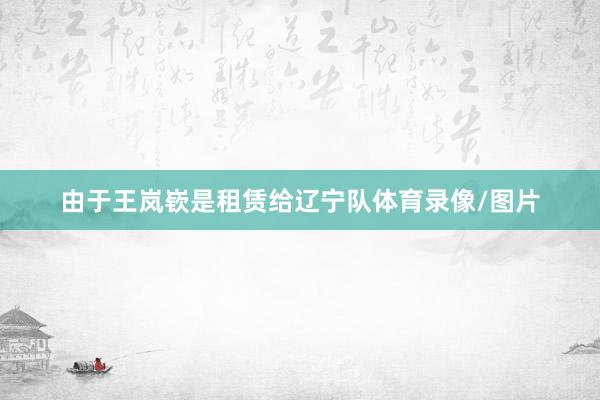 由于王岚嵚是租赁给辽宁队体育录像/图片