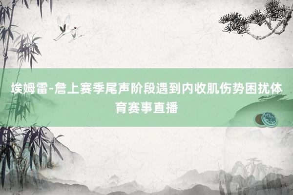 埃姆雷-詹上赛季尾声阶段遇到内收肌伤势困扰体育赛事直播