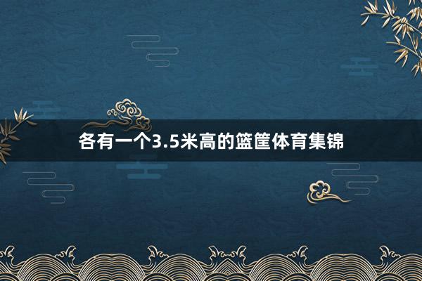 各有一个3.5米高的篮筐体育集锦