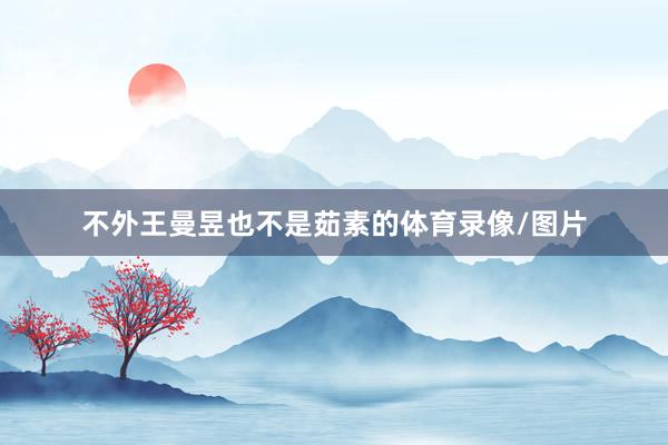 不外王曼昱也不是茹素的体育录像/图片