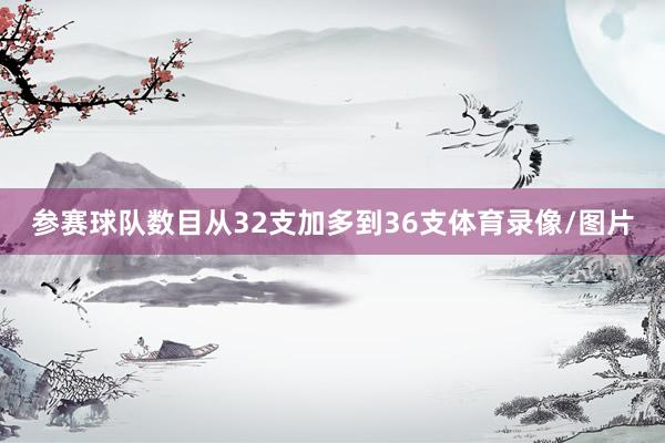 参赛球队数目从32支加多到36支体育录像/图片