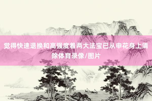 觉得快速退换和高强度着两大法宝已从申花身上清除体育录像/图片