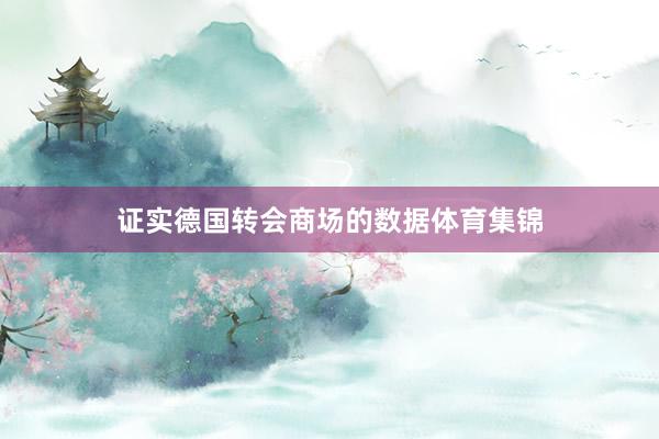证实德国转会商场的数据体育集锦