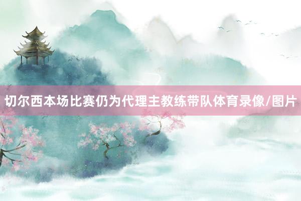 切尔西本场比赛仍为代理主教练带队体育录像/图片