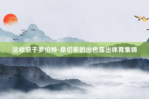 这收获于罗伯特·桑切斯的出色露出体育集锦