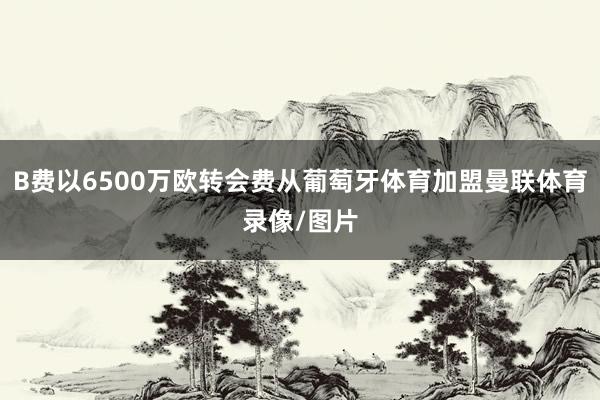 B费以6500万欧转会费从葡萄牙体育加盟曼联体育录像/图片