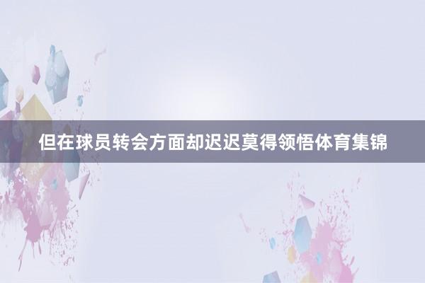 但在球员转会方面却迟迟莫得领悟体育集锦