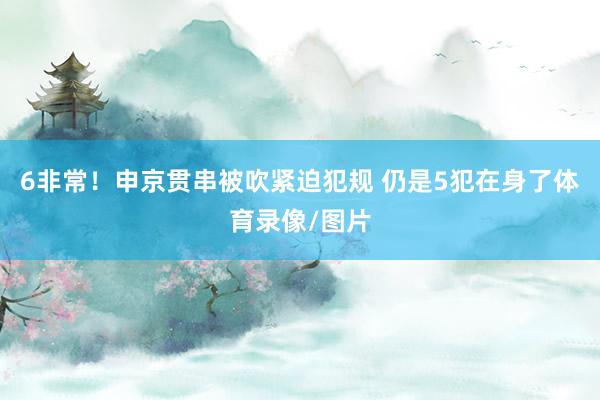 6非常！申京贯串被吹紧迫犯规 仍是5犯在身了体育录像/图片