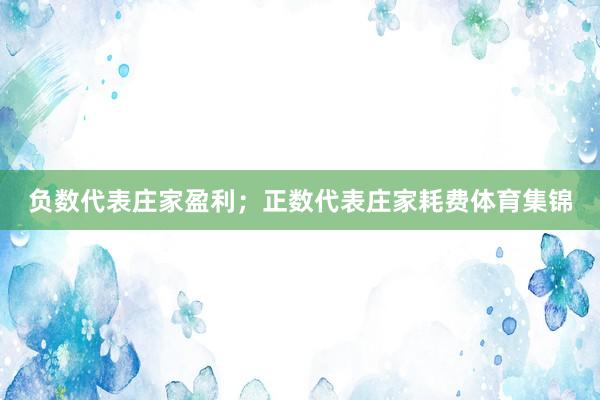 负数代表庄家盈利；正数代表庄家耗费体育集锦