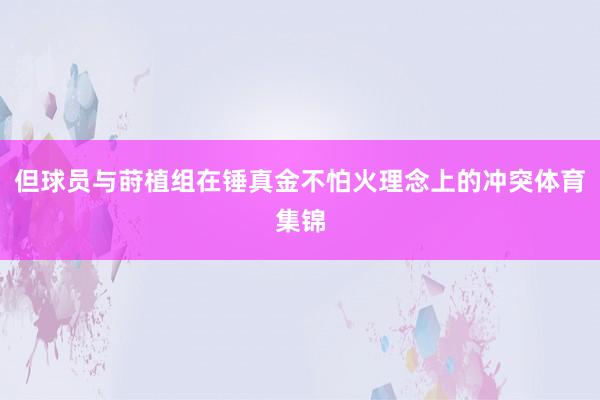 但球员与莳植组在锤真金不怕火理念上的冲突体育集锦