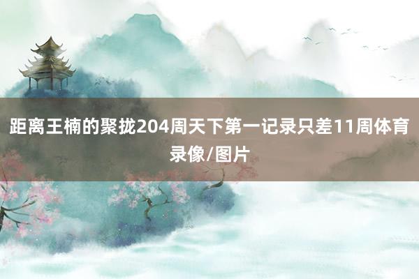 距离王楠的聚拢204周天下第一记录只差11周体育录像/图片