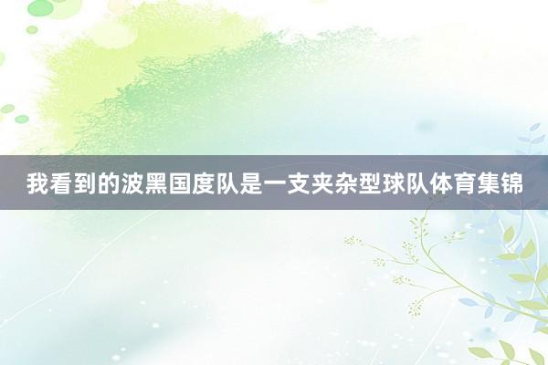 我看到的波黑国度队是一支夹杂型球队体育集锦