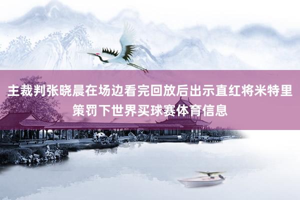 主裁判张晓晨在场边看完回放后出示直红将米特里策罚下世界买球赛体育信息