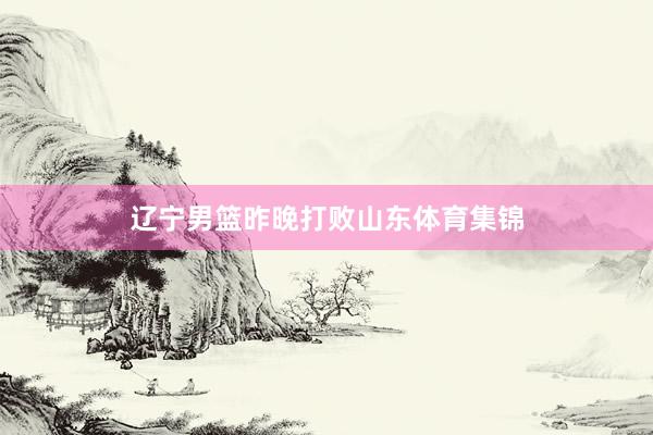 辽宁男篮昨晚打败山东体育集锦