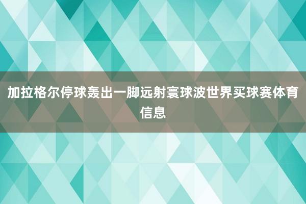 加拉格尔停球轰出一脚远射寰球波世界买球赛体育信息