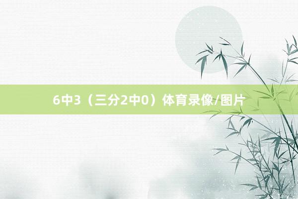 6中3（三分2中0）体育录像/图片