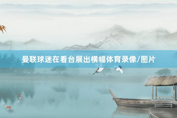 曼联球迷在看台展出横幅体育录像/图片