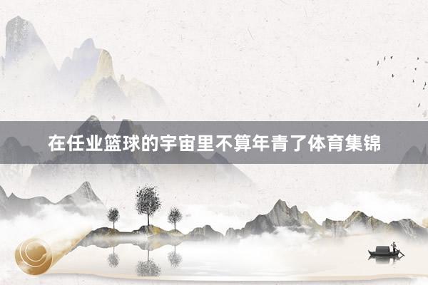 在任业篮球的宇宙里不算年青了体育集锦
