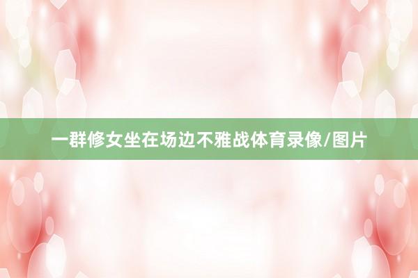 一群修女坐在场边不雅战体育录像/图片
