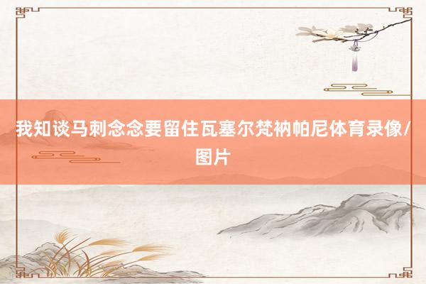 我知谈马刺念念要留住瓦塞尔梵衲帕尼体育录像/图片