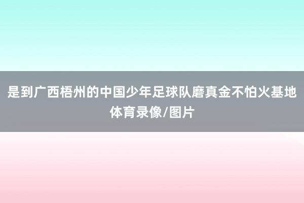是到广西梧州的中国少年足球队磨真金不怕火基地体育录像/图片