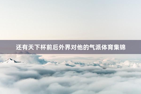 还有天下杯前后外界对他的气派体育集锦