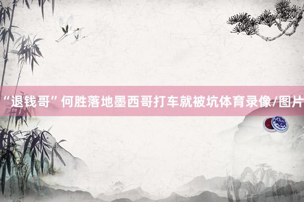 “退钱哥”何胜落地墨西哥打车就被坑体育录像/图片