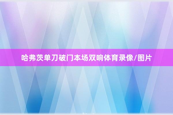 哈弗茨单刀破门本场双响体育录像/图片