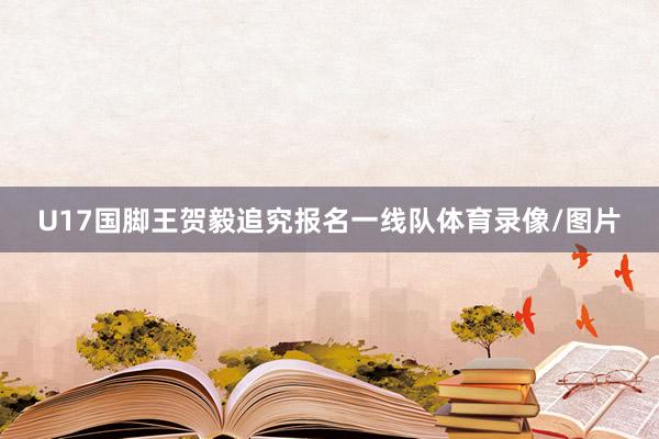 U17国脚王贺毅追究报名一线队体育录像/图片